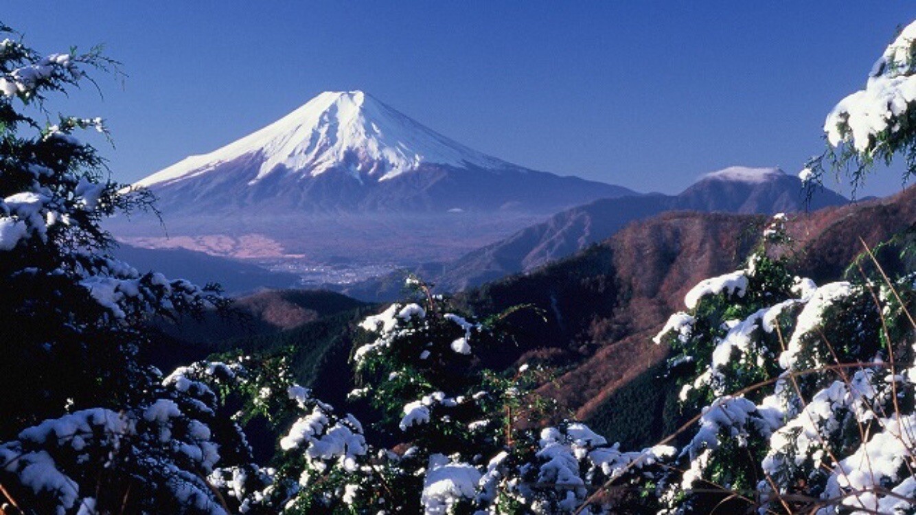 松姫峠から楽々登山 奈良倉山 エル丸さんの大菩薩嶺 鶏冠山 大マテイ山の活動データ Yamap ヤマップ