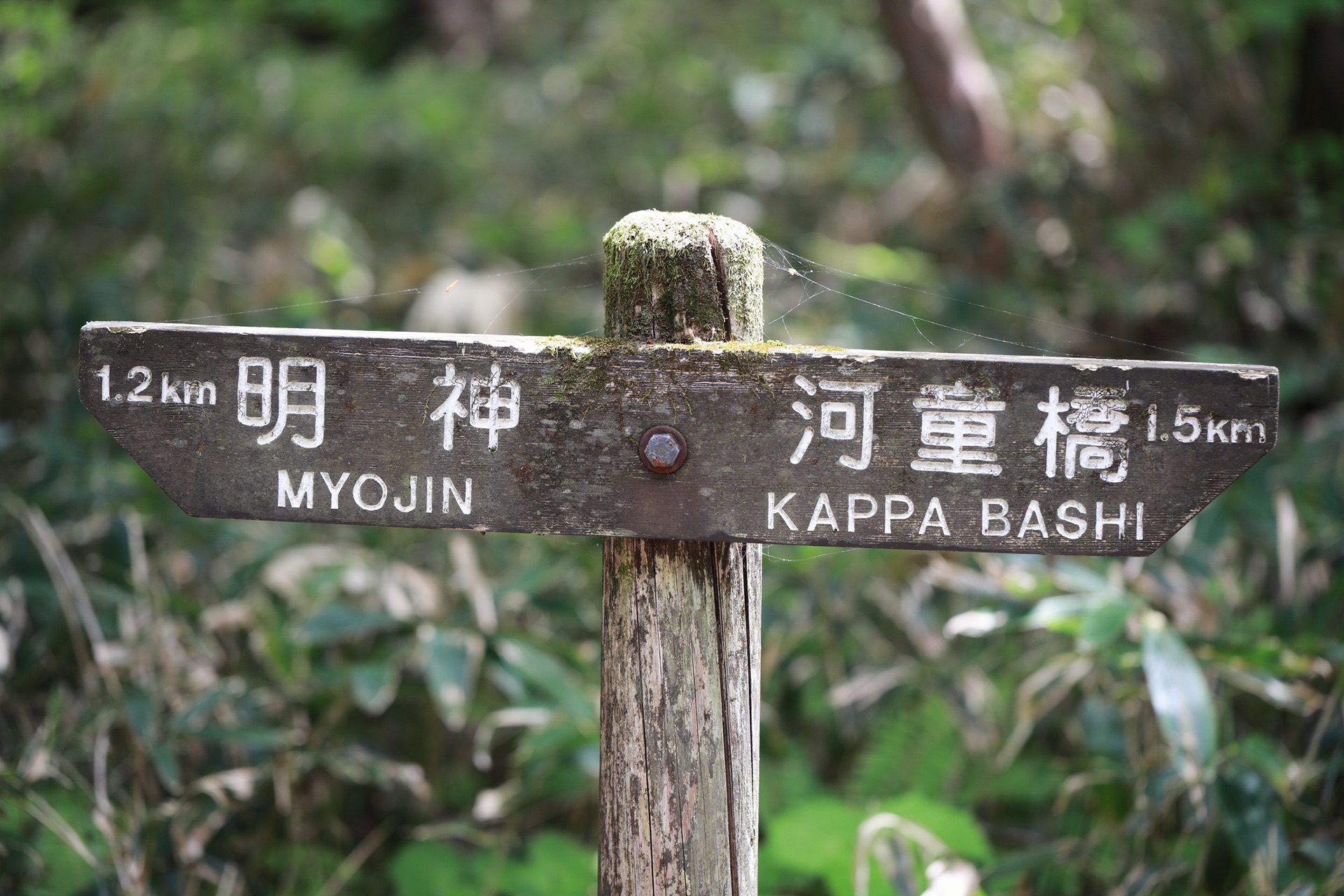 上高地 楽園 みちのくあゆむさんの槍ヶ岳 穂高岳 上高地の活動データ Yamap ヤマップ
