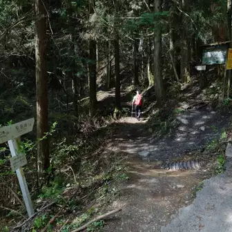 林道歩きから分岐、山道に入ります。
ちなみにそのまま林道を行くと和田峠に至り、階段で陣馬山頂へ至れるようです。