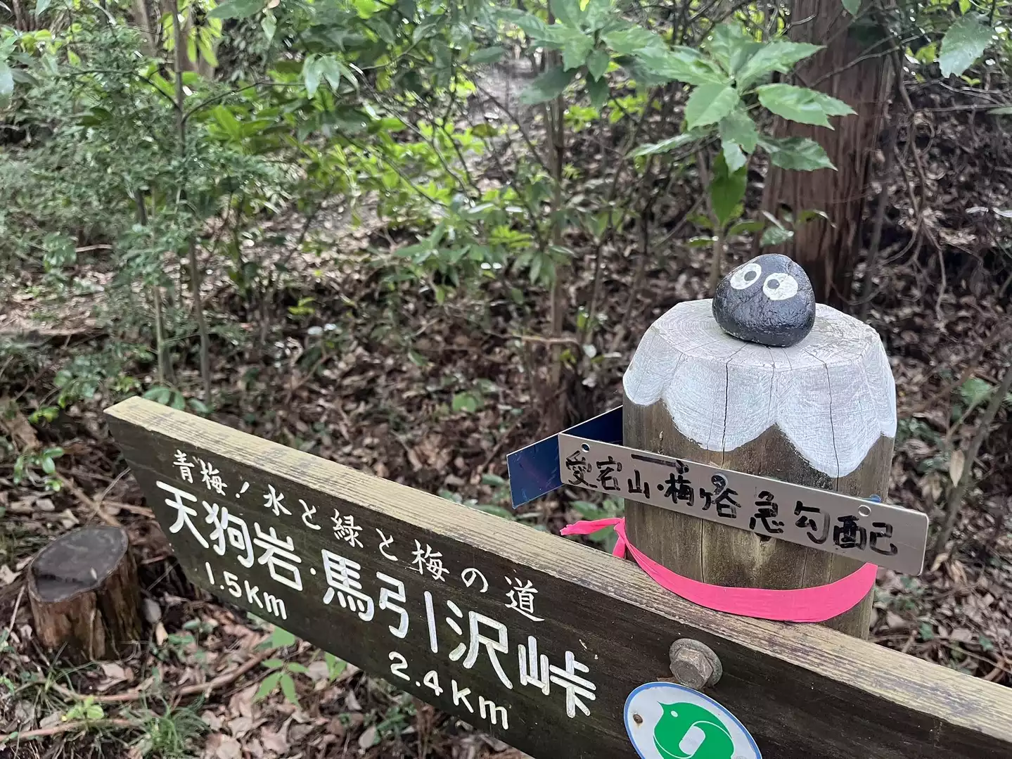 奇跡の低山、赤ぼっこ(409m) で、復活! / ケトハイカー輪太郎 奇跡の低山、赤ぼっこ(409m) で、復活! / ケトハイカー輪太郎
