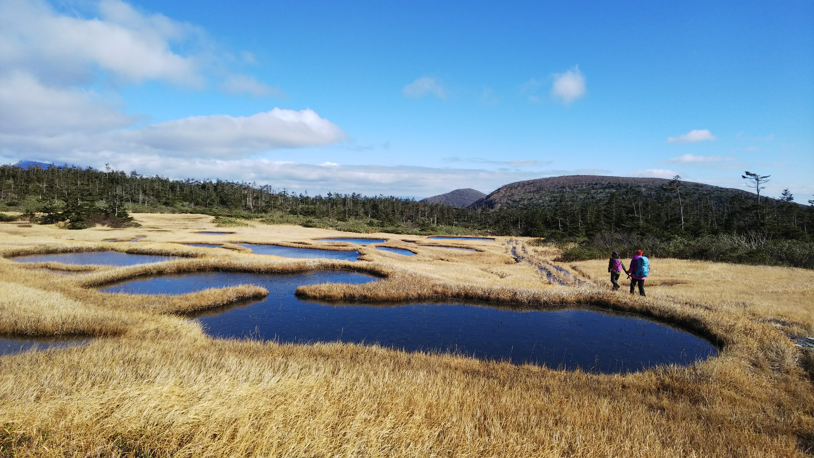 平ヶ倉登山口 千沼ヶ原 あっちぃぃさんの乳頭山 湯森山 大白森の活動データ Yamap ヤマップ
