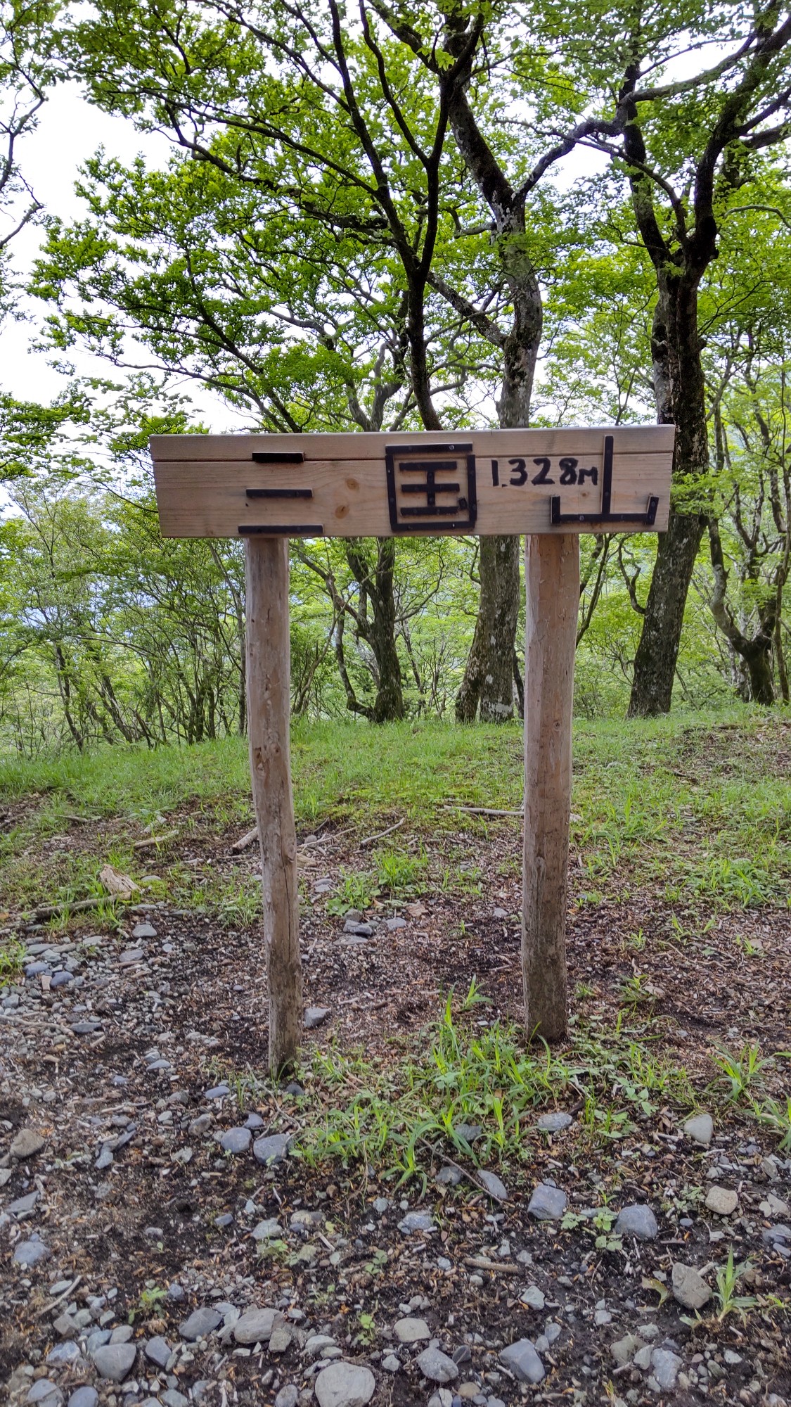 三国山ハイキング♪大洞山・楢木山・三国山・鉄砲木ノ頭(明神山 