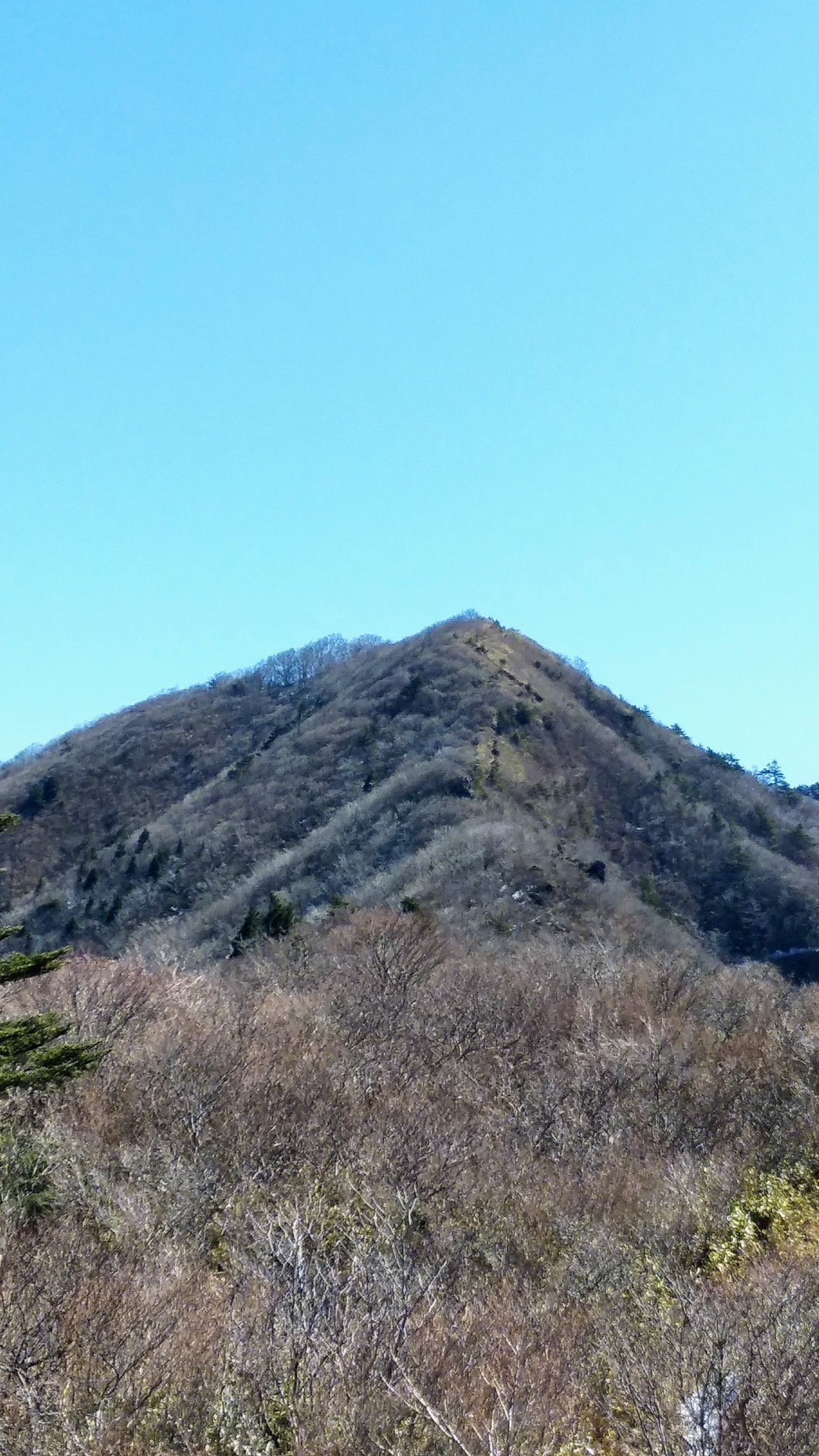 西赤石山経由 物住頭 新居浜市 に登りました カベさんの東赤石山 西赤石山 物住頭の活動データ Yamap ヤマップ