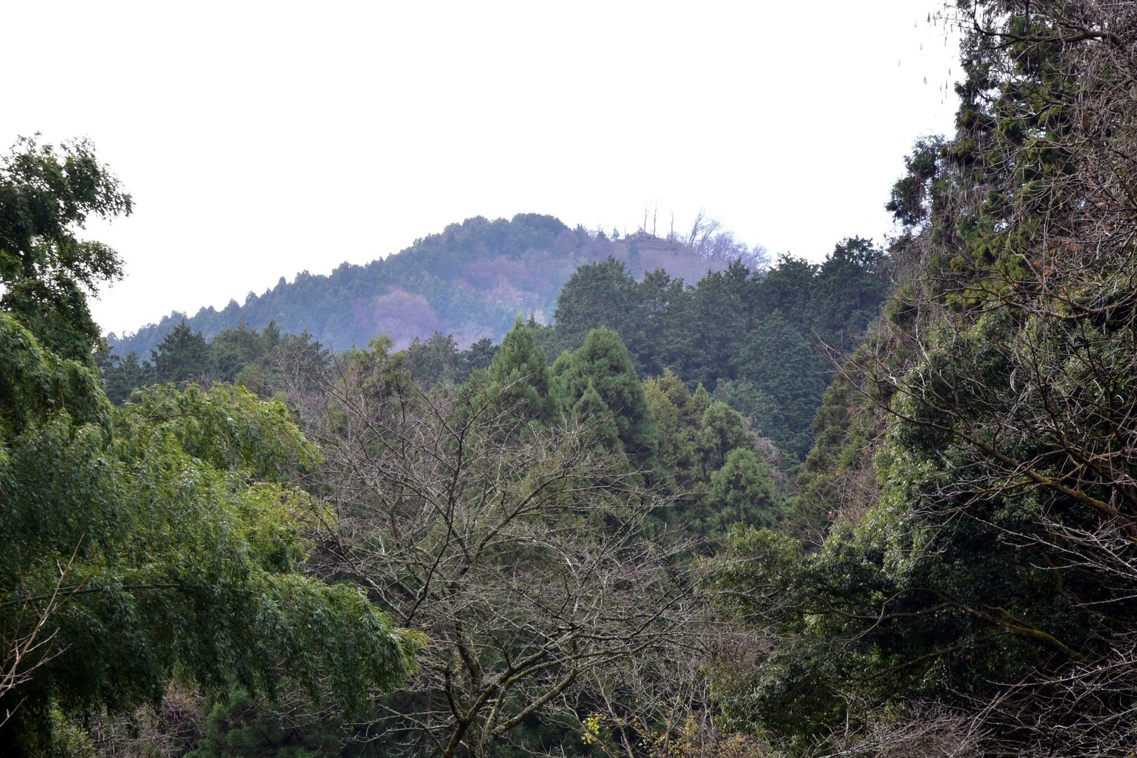 文殊山 / syai0232さんの文殊山の活動データ YAMAP / ヤマップ