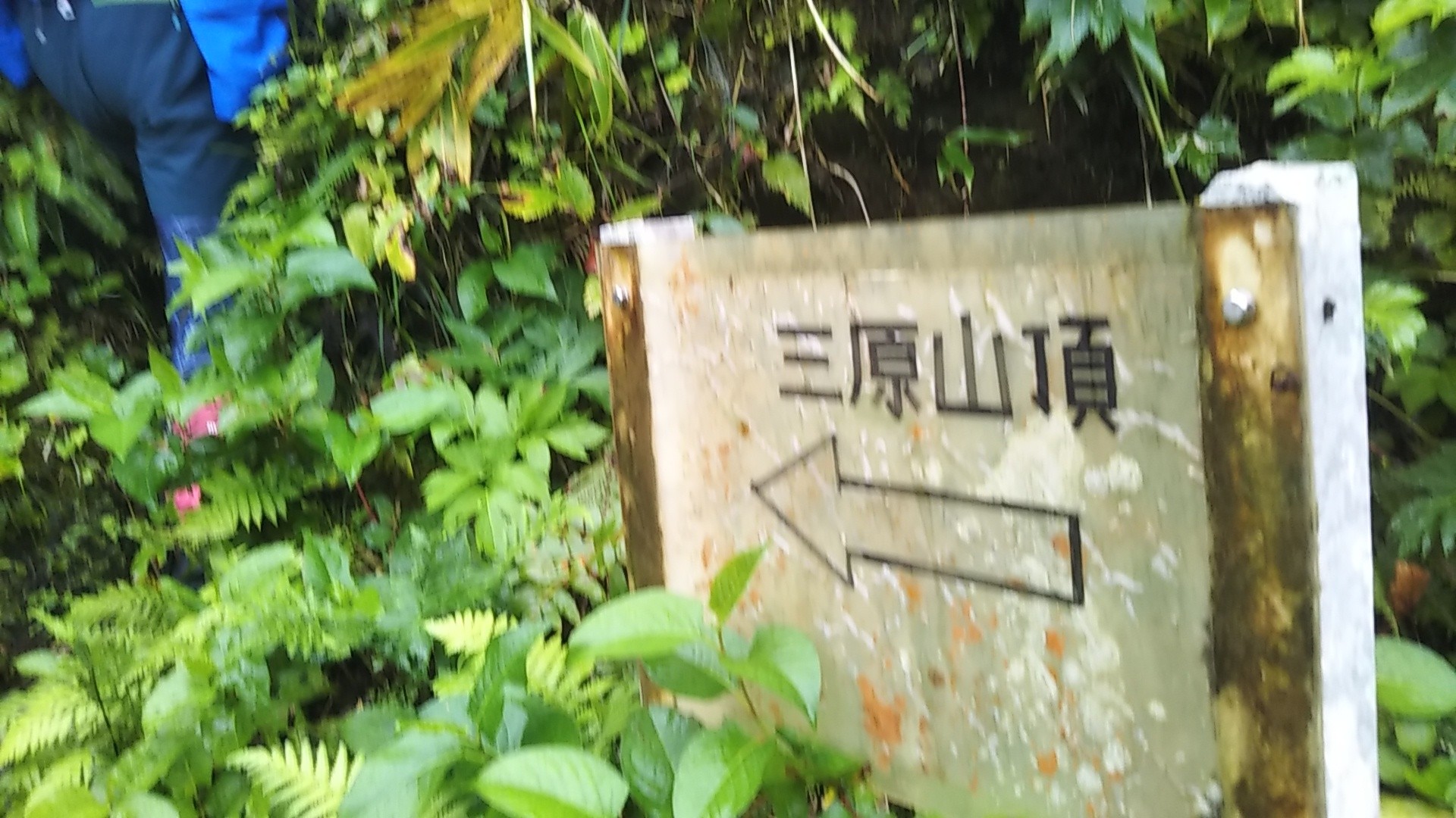 八丈島 三原山 19 09 29 Kumaさんの八丈島の活動日記 Yamap ヤマップ