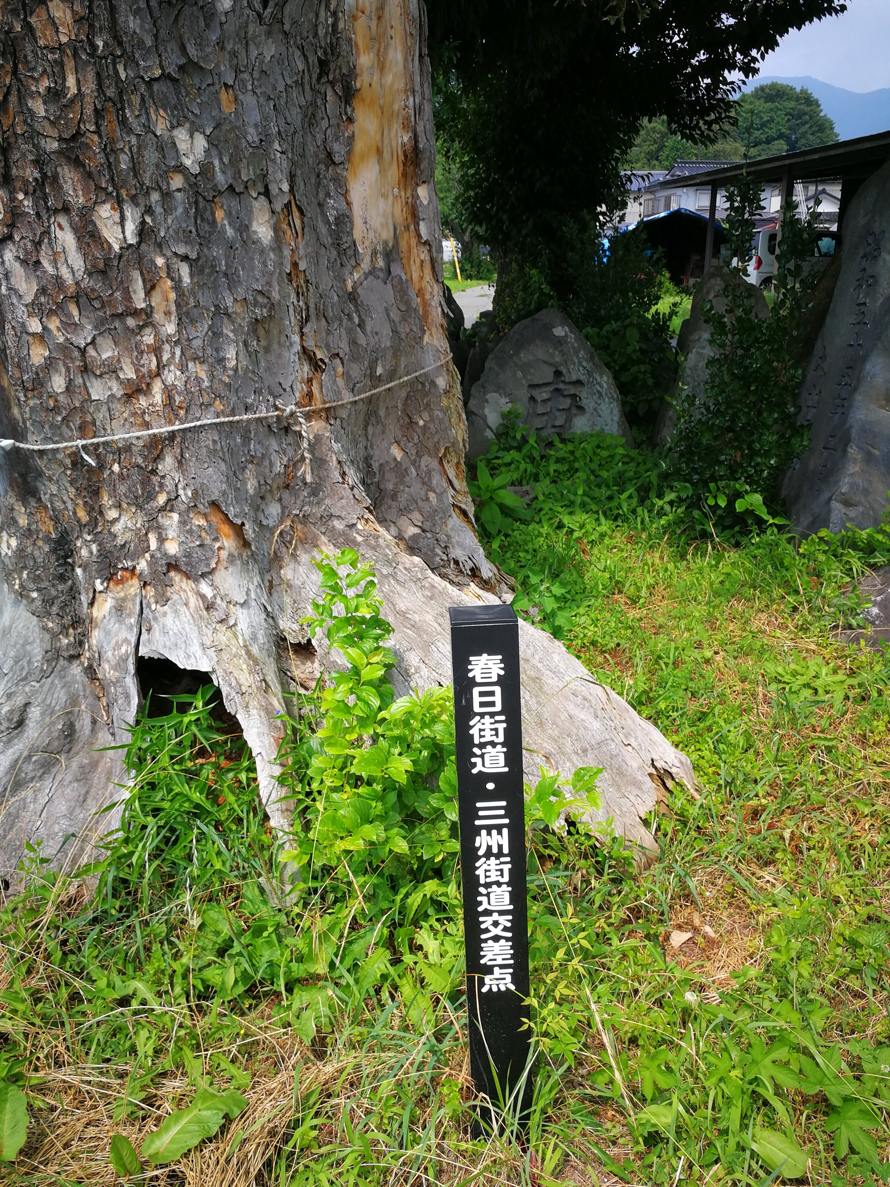 塩の道 三州街道1 塩尻 伊那市 高遠原 チョビ04さんの大城山 鶴ヶ峰の活動日記 Yamap ヤマップ