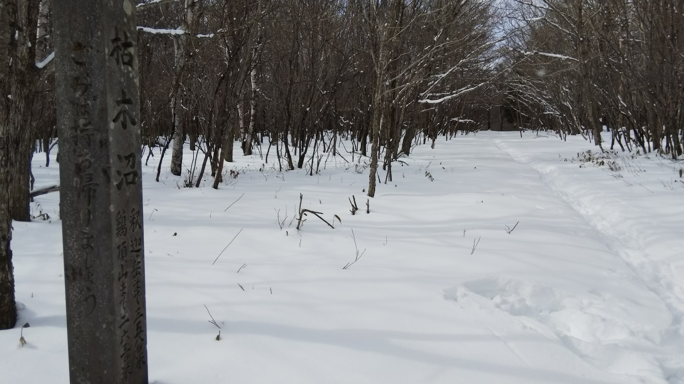 自分で付けたトレースを戻ります