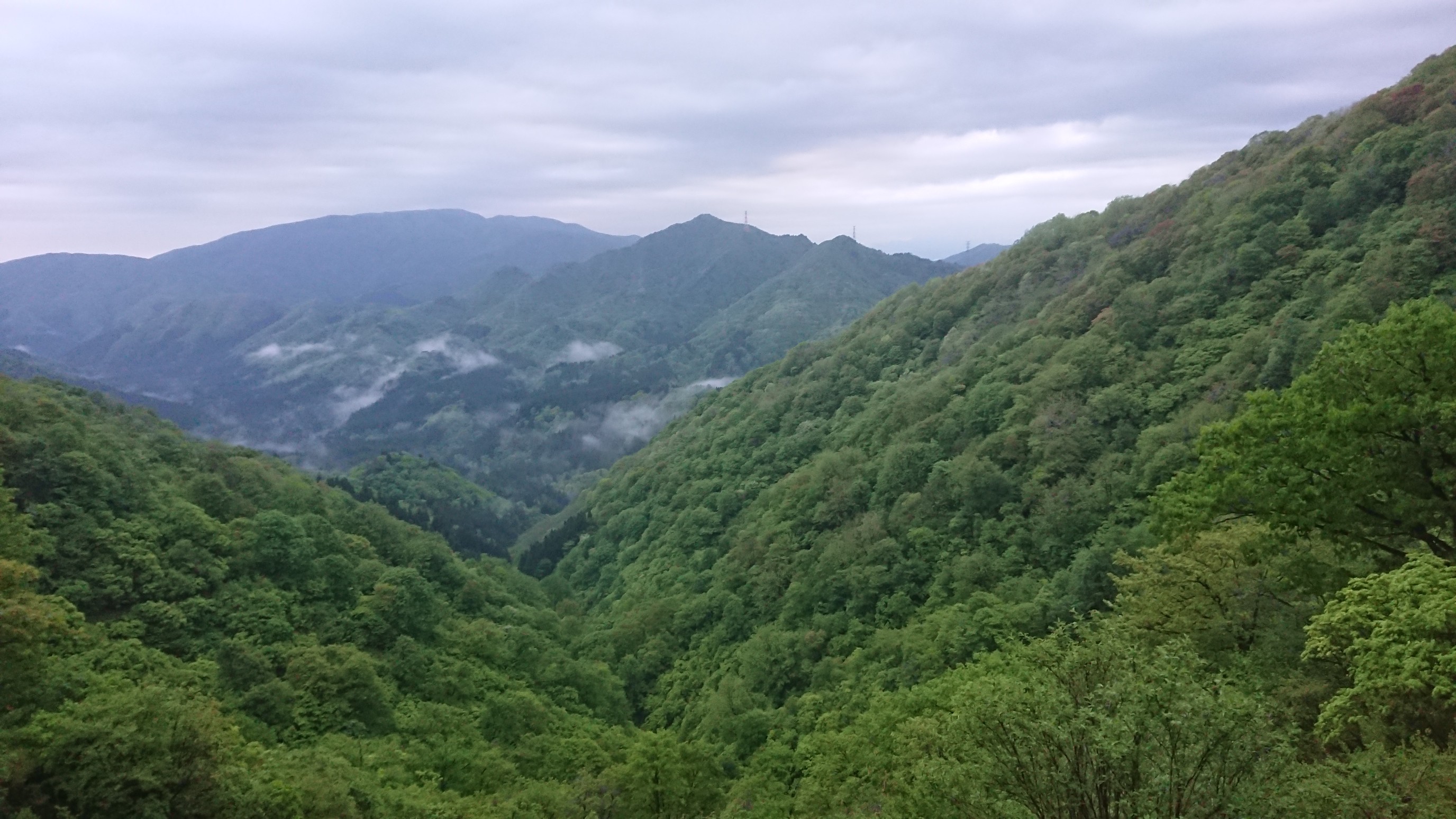 木六山・銀次郎山 緑が濃くなってきました