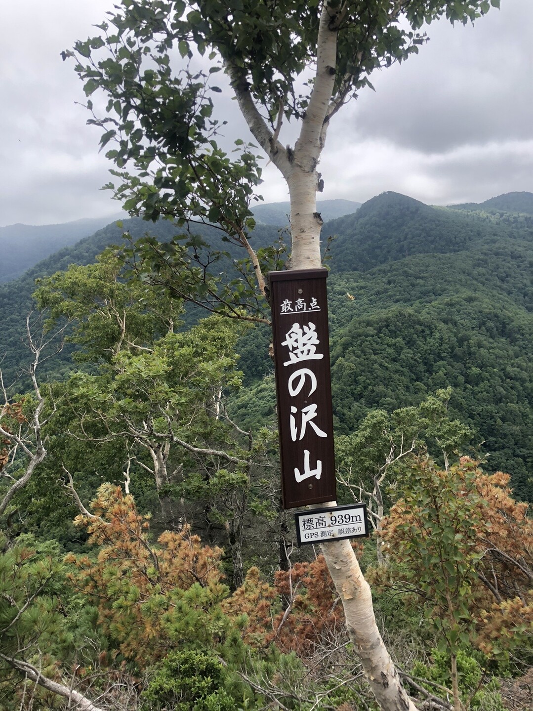 盤の沢山 お盆 てふてふさんの豊平山 焼山 の活動日記 Yamap ヤマップ