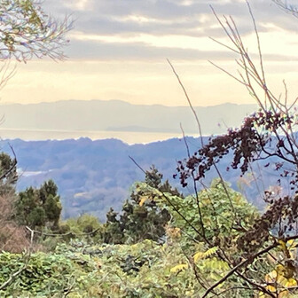 一旦視界が開け、海が見えました