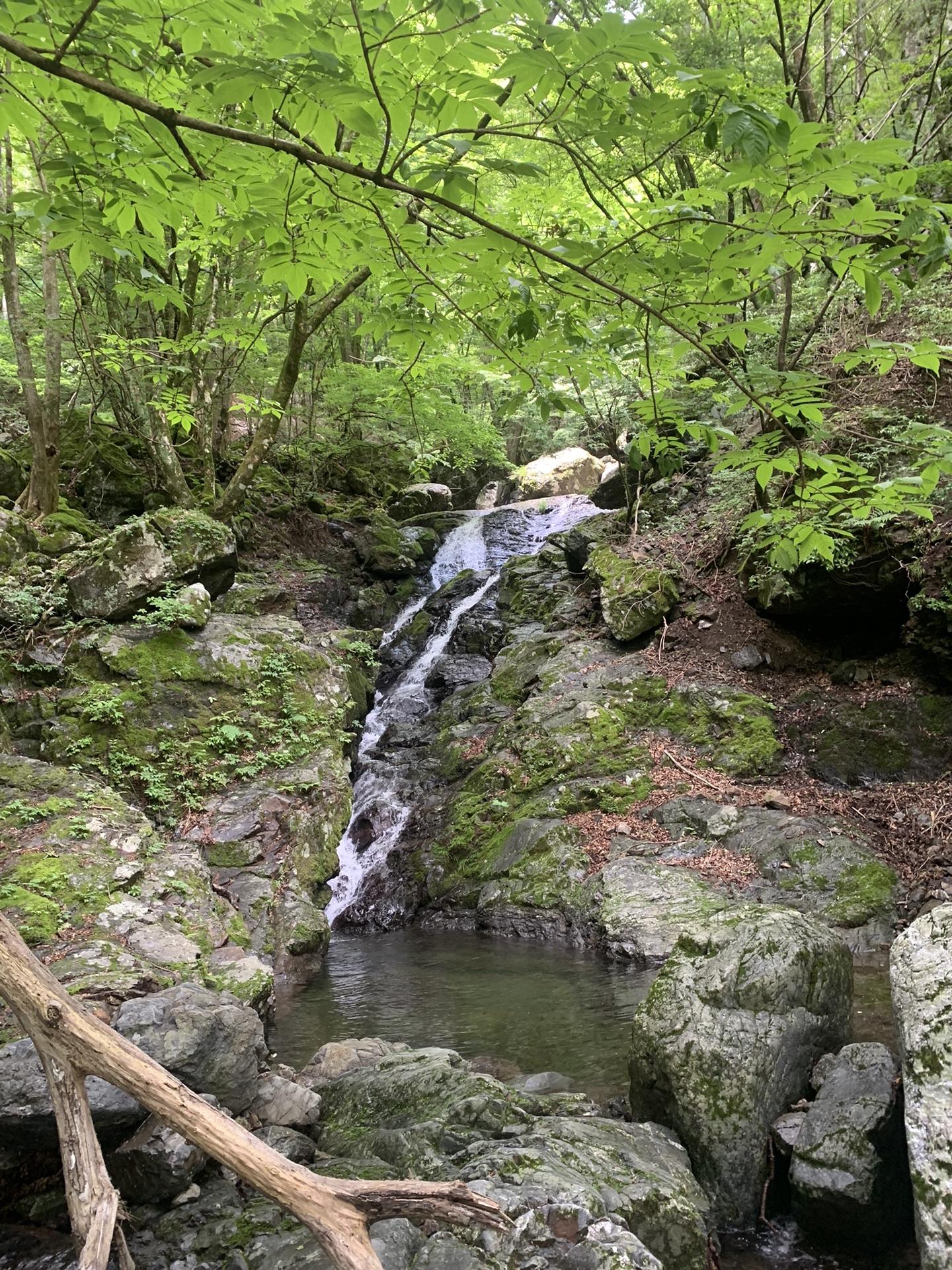 いくつか滝を越えると