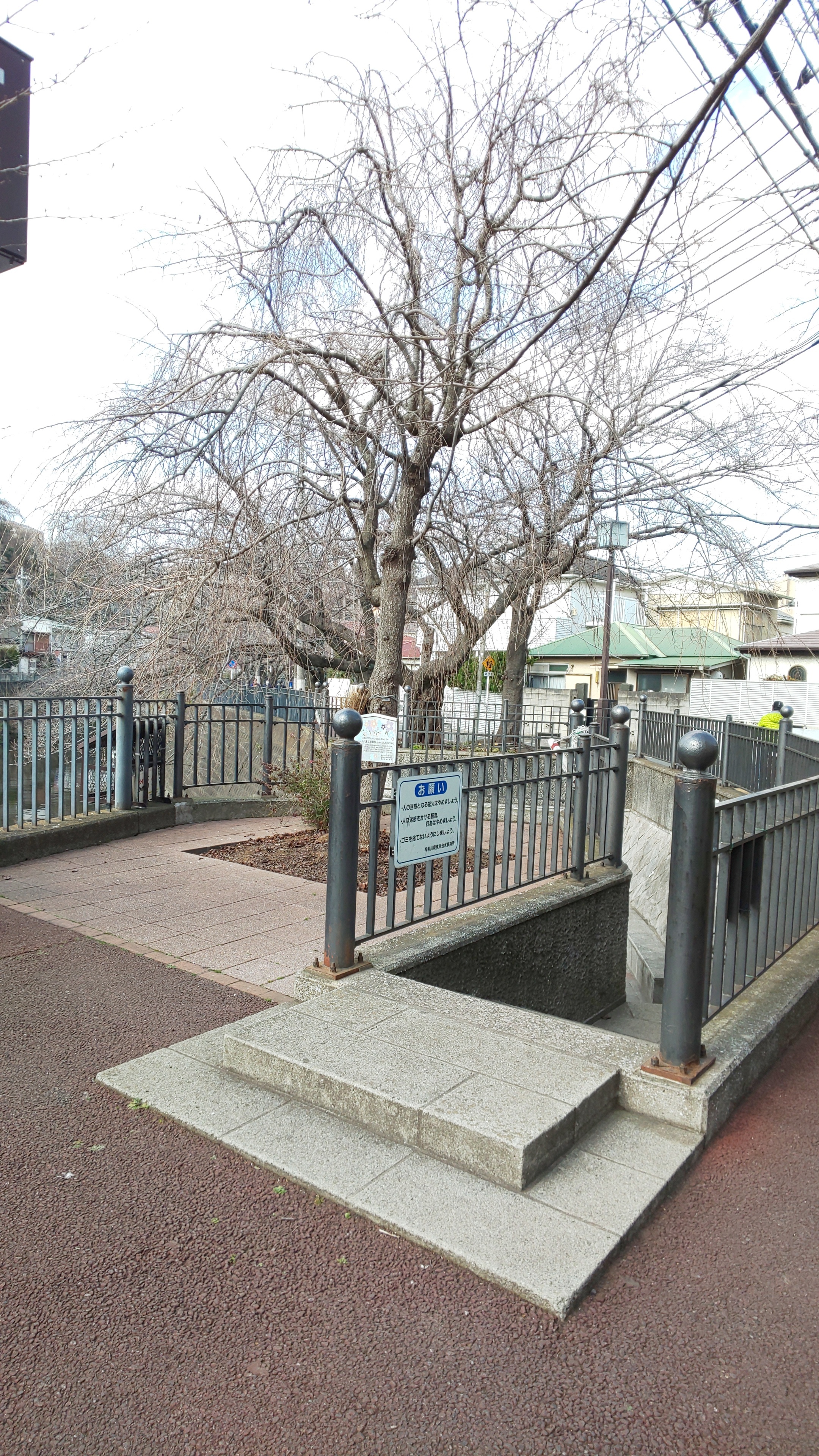 日野川 横浜 源流探索 しましまさんの横浜市 中央エリアの活動日記 Yamap ヤマップ