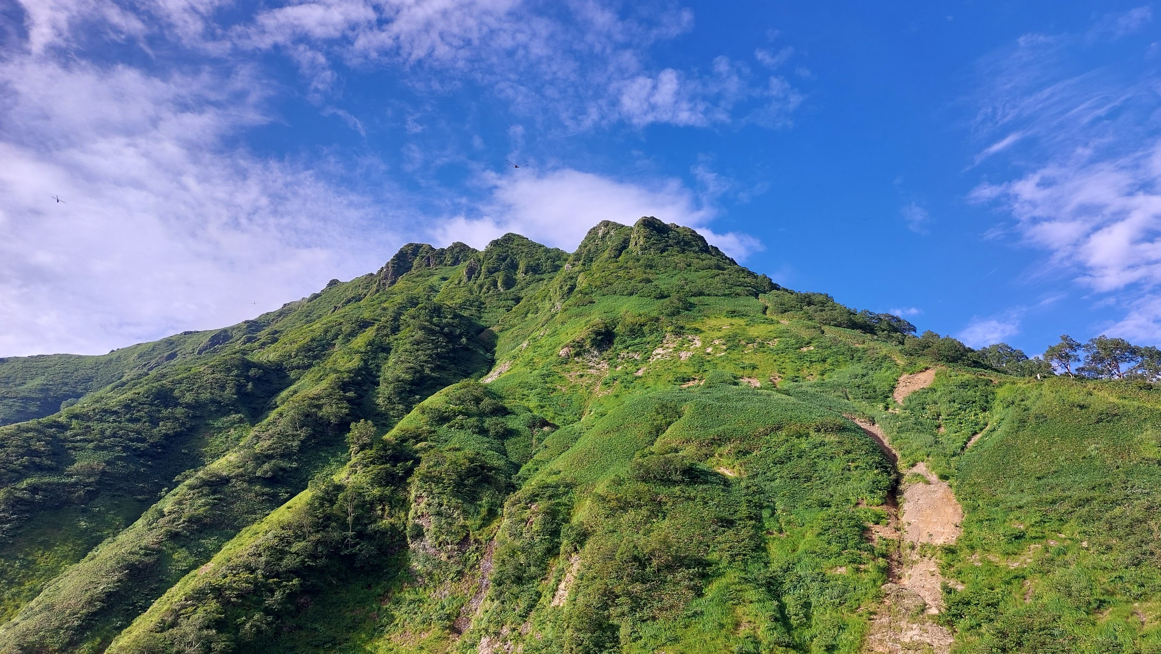 万太郎山 / 薫風さんの仙ノ倉山・平標山・大源太山の活動データ | YAMAP / ヤマップ