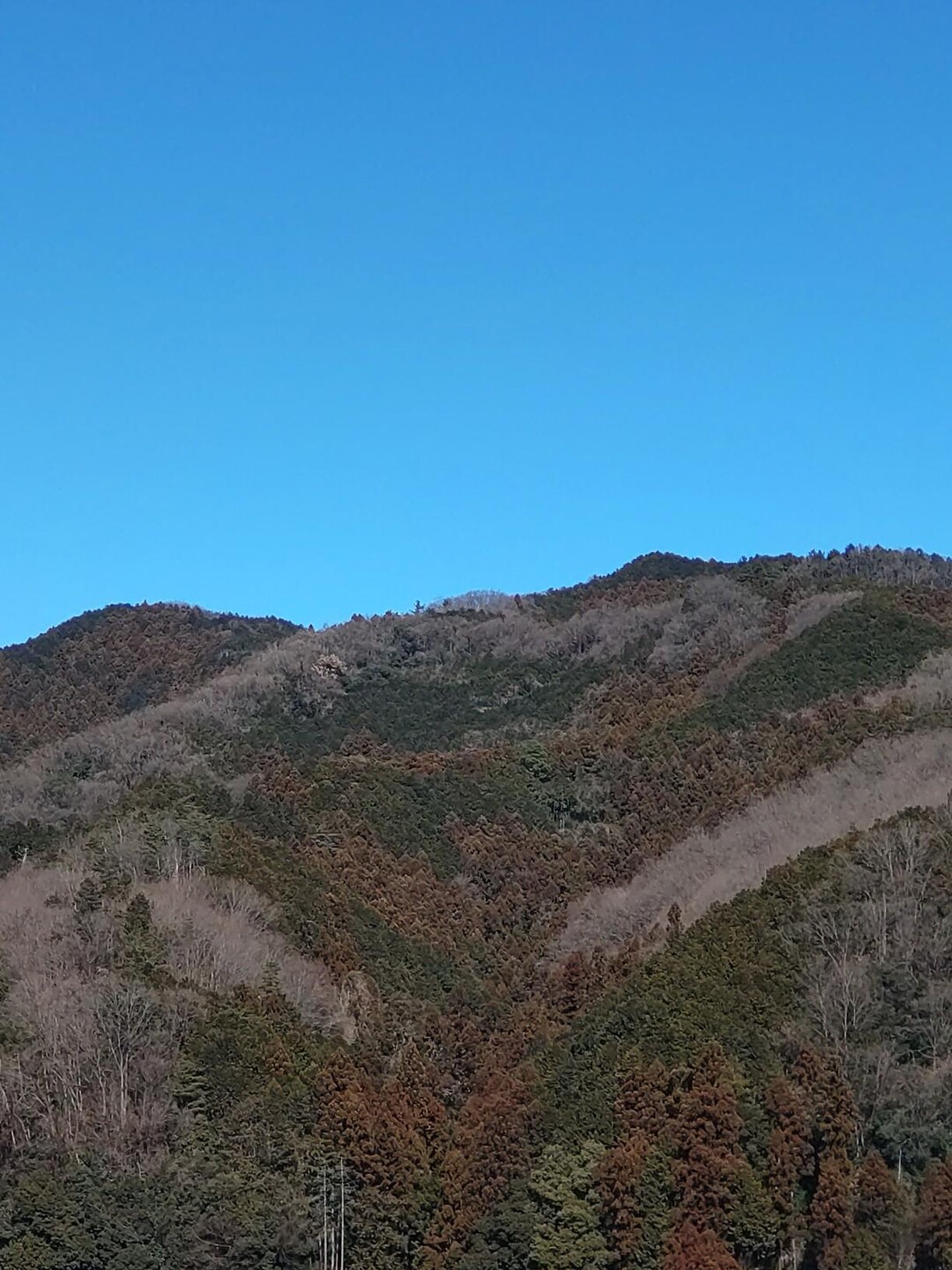 臼入山（細窪山）・天ノ峰・烏森山（虚空蔵山）・不動沢の頭・官ノ倉山・石尊山 / たばさんの官ノ倉山の活動データ | YAMAP / ヤマップ