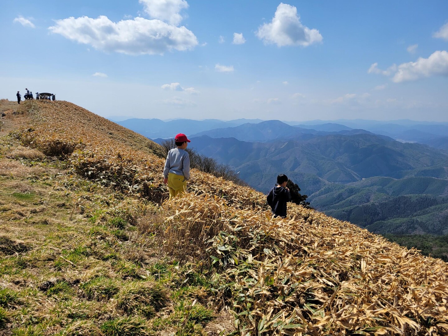 十種ヶ峰 お花咲き初め / shigeyoさんの十種ヶ峰の活動データ YAMAP / ヤマップ