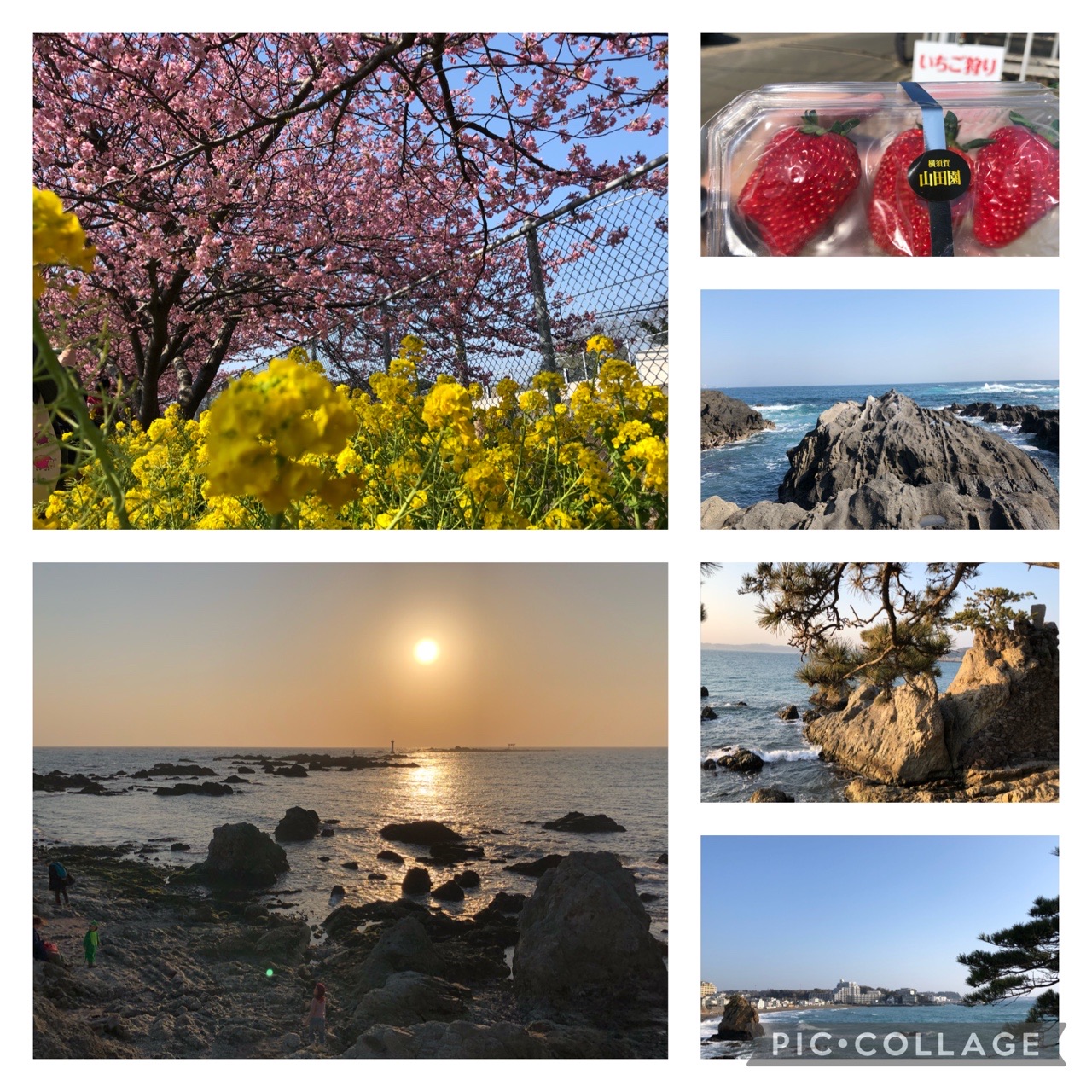 三浦半島 観光スポット巡りジョグ かずひろさんのランニングの活動データ Yamap ヤマップ