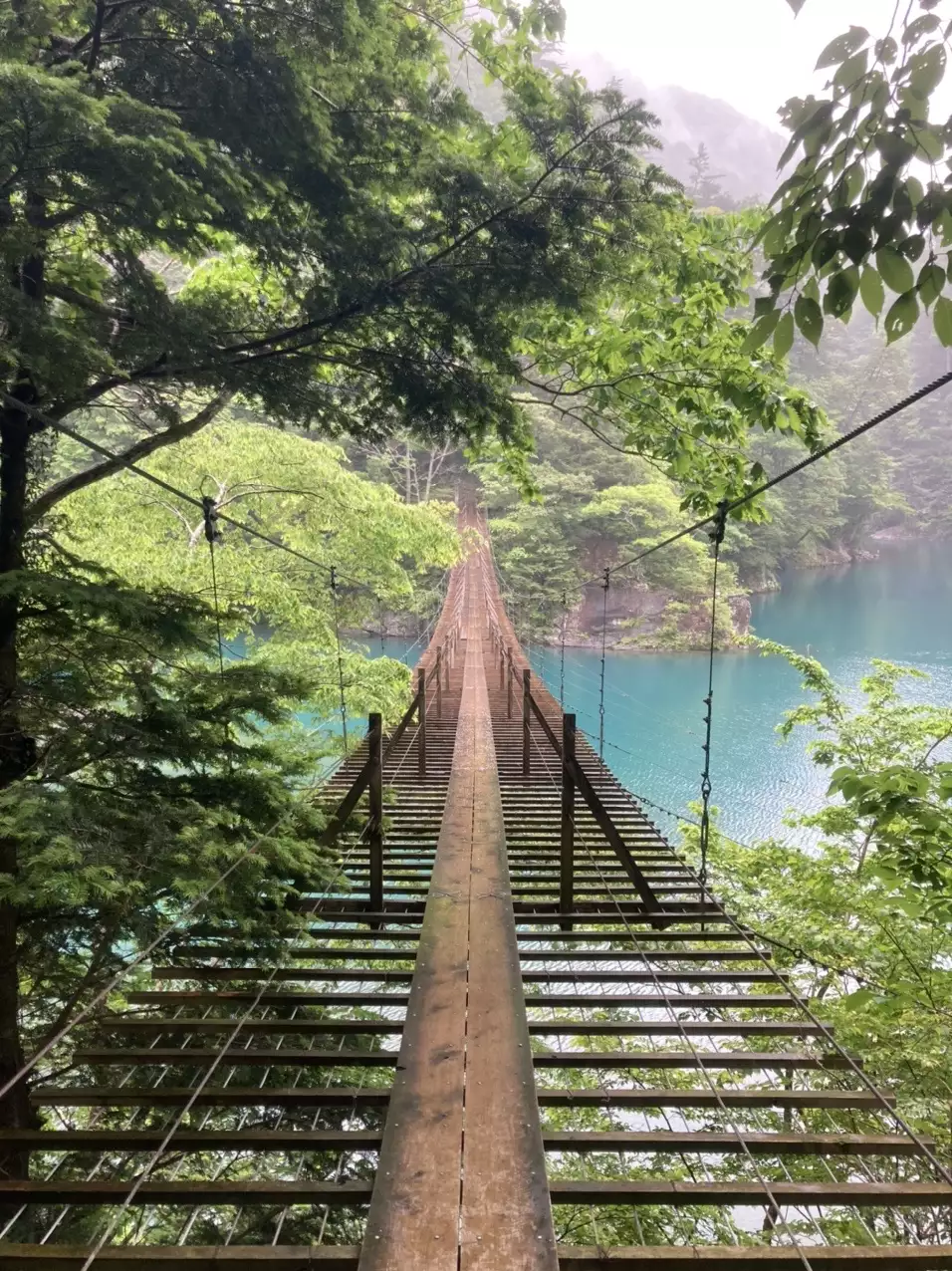 ゆるキャン 聖地巡礼の旅 夢の吊橋 すぬーぴー さんの朝日岳の活動データ Yamap ヤマップ