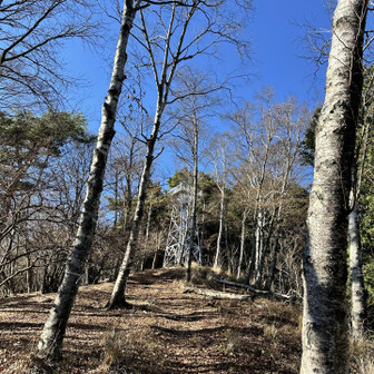 あら、なんか公園感w