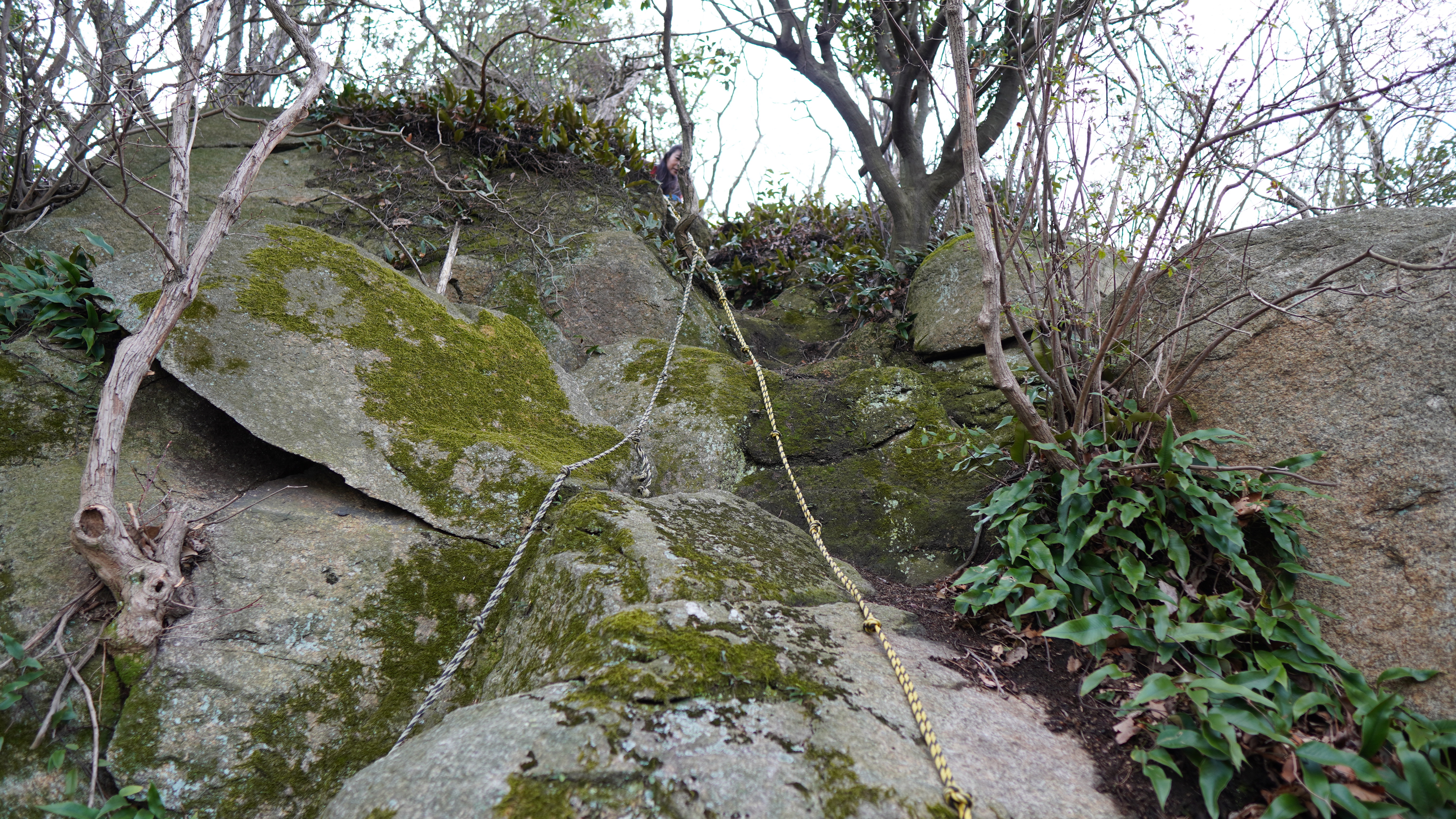 動画 へっぽこ登山 こりゃすごい道だ 生駒山地 大阪府 奈良県 鬼ノ城山 ぼくらの広場 Heppoko Tozanさんの生駒山 神津嶽 大原山の活動データ Yamap ヤマップ