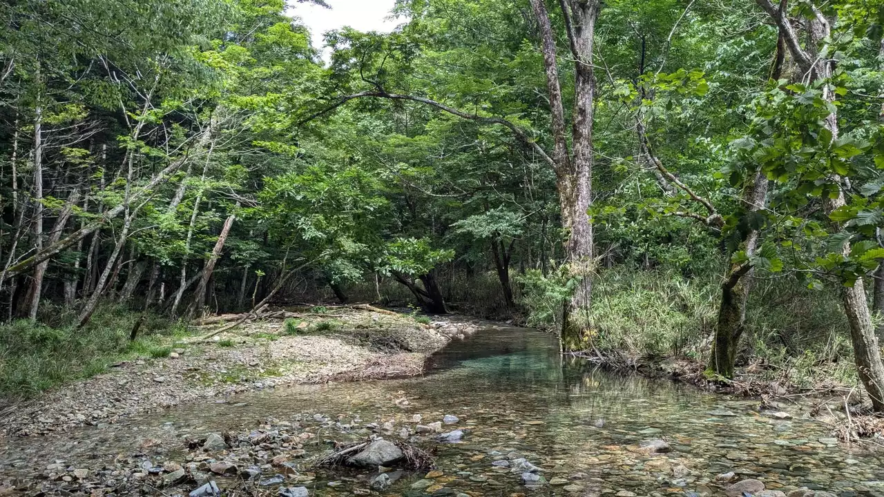 那珂川水系 蛇尾川支流 小蛇尾川 イワナ沢出合〜小蛇尾川源頭 沢 那珂川水系 蛇尾川支流 小蛇尾川 イワナ沢出合〜小蛇尾川源頭 沢