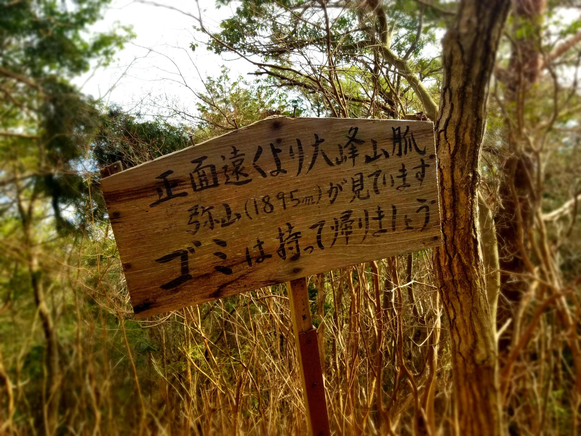 スタンプラリー ダイトレ編 二上山 岩橋山 大和葛城山 金剛山 とみーさんの金剛山 二上山 大和葛城山の活動データ Yamap ヤマップ