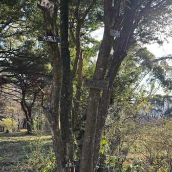 生駒山・神津嶽・大原山 大原山⛰
山頂銘板いっぱい🤭