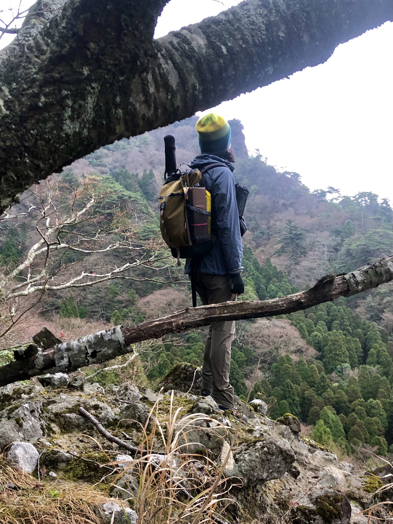 天狗の鼻 行者道 英彦山バリエーションルート カヲルさんの釈迦ヶ岳 福岡県 大日ヶ岳 岳滅鬼山の活動データ Yamap ヤマップ