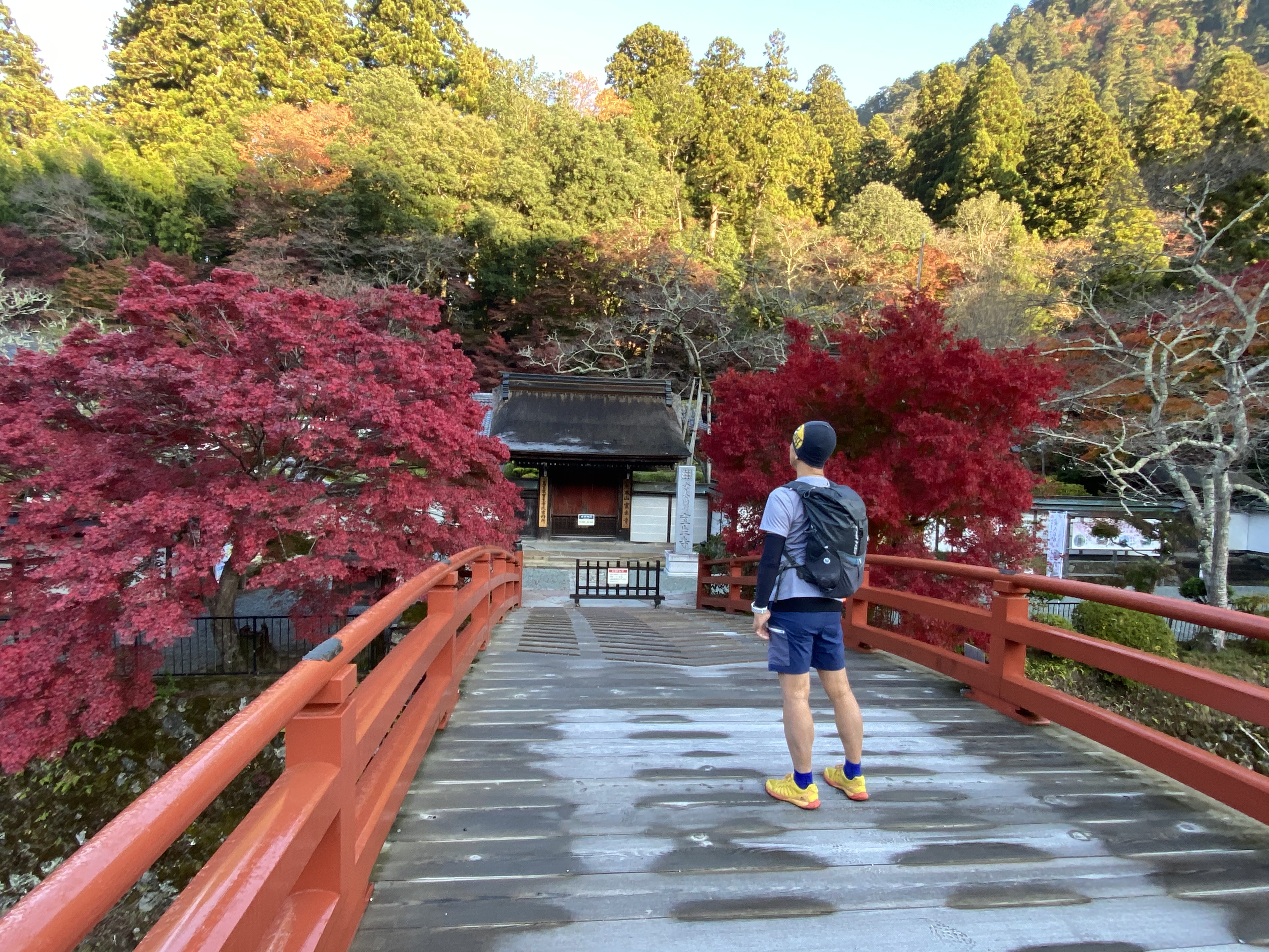 室生寺紅葉 曽爾高原すすき Liewさんの倶留尊山 曽爾高原 古光山の活動データ Yamap ヤマップ