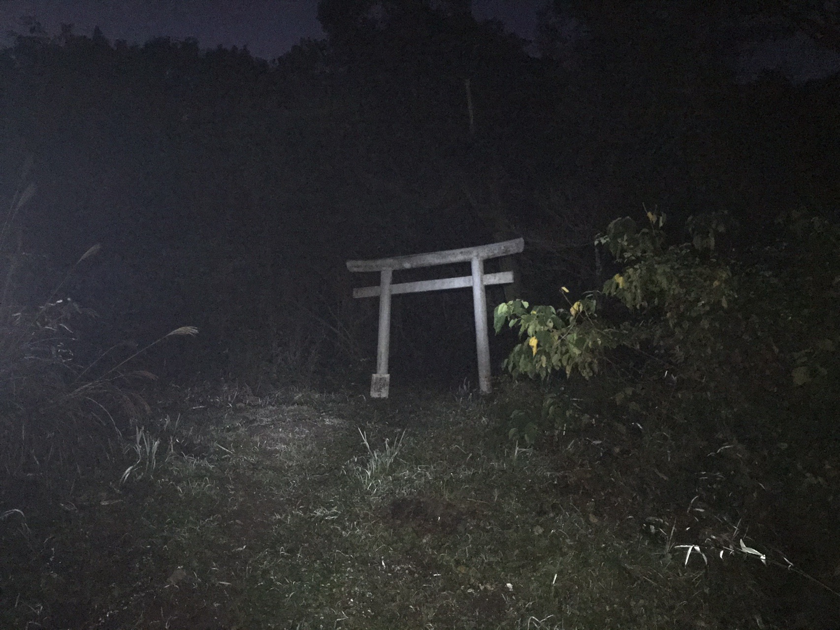 烏帽子岳 登山コース 平川動物園コース へなちょこbさんの烏帽子岳 鹿児島市 の活動データ Yamap ヤマップ