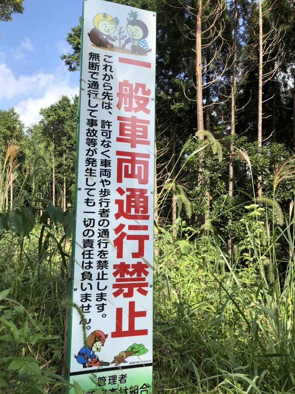 日南市 の 霧島神社 へ行く ふるさと Roughtice ラフティス さんのモーメント Yamap ヤマップ