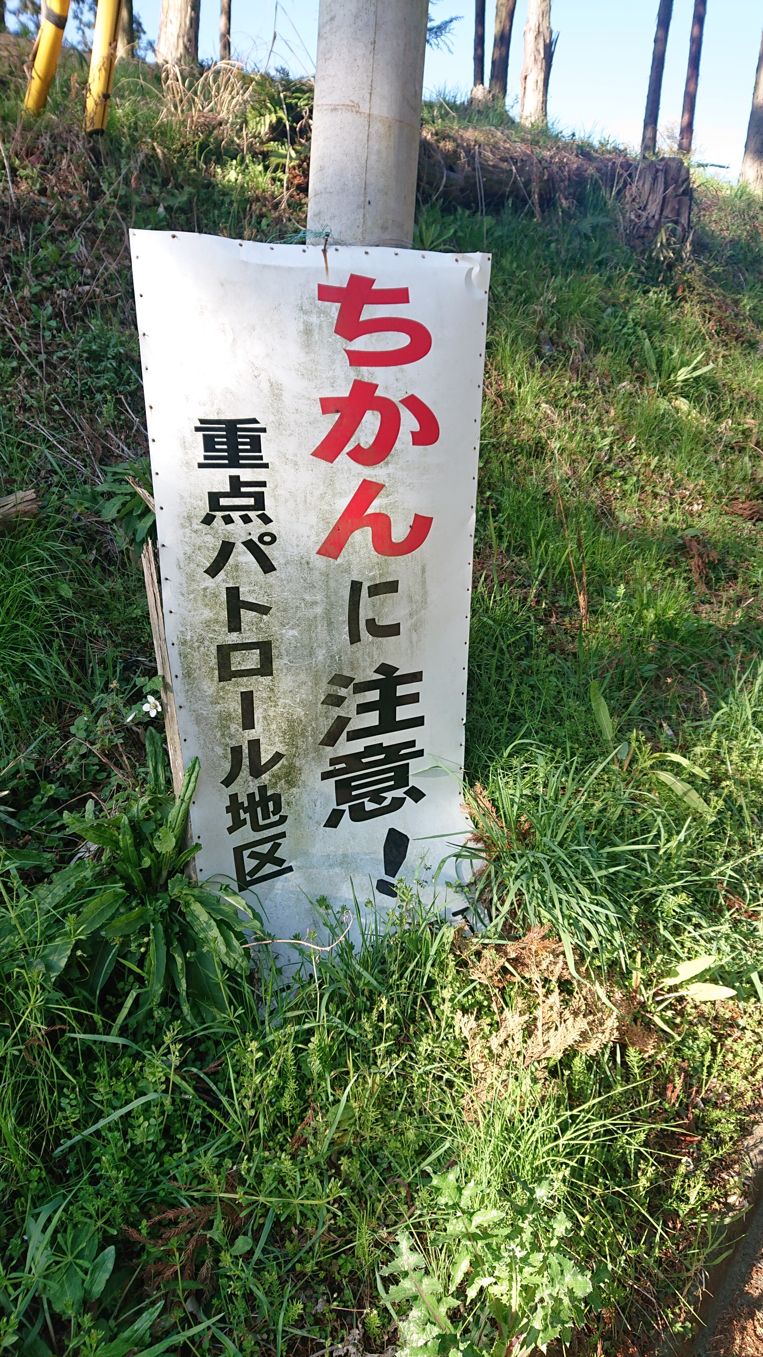 心霊スポット鐘ヶ嶽 ネクタイ尾根 大山 よっちゃんさんの大山の活動データ Yamap ヤマップ