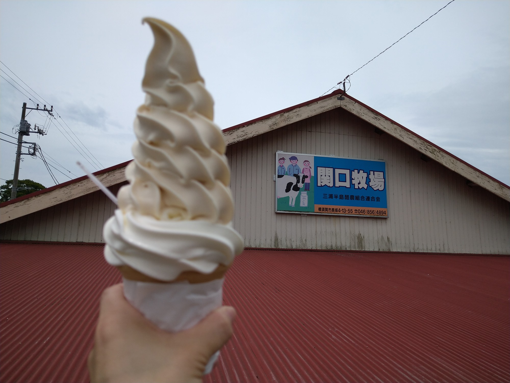 いざソフトクリーム 大楠山 武山 砲台山 富士山 三浦富士 Tontonさんの大楠山 武山の活動データ Yamap ヤマップ