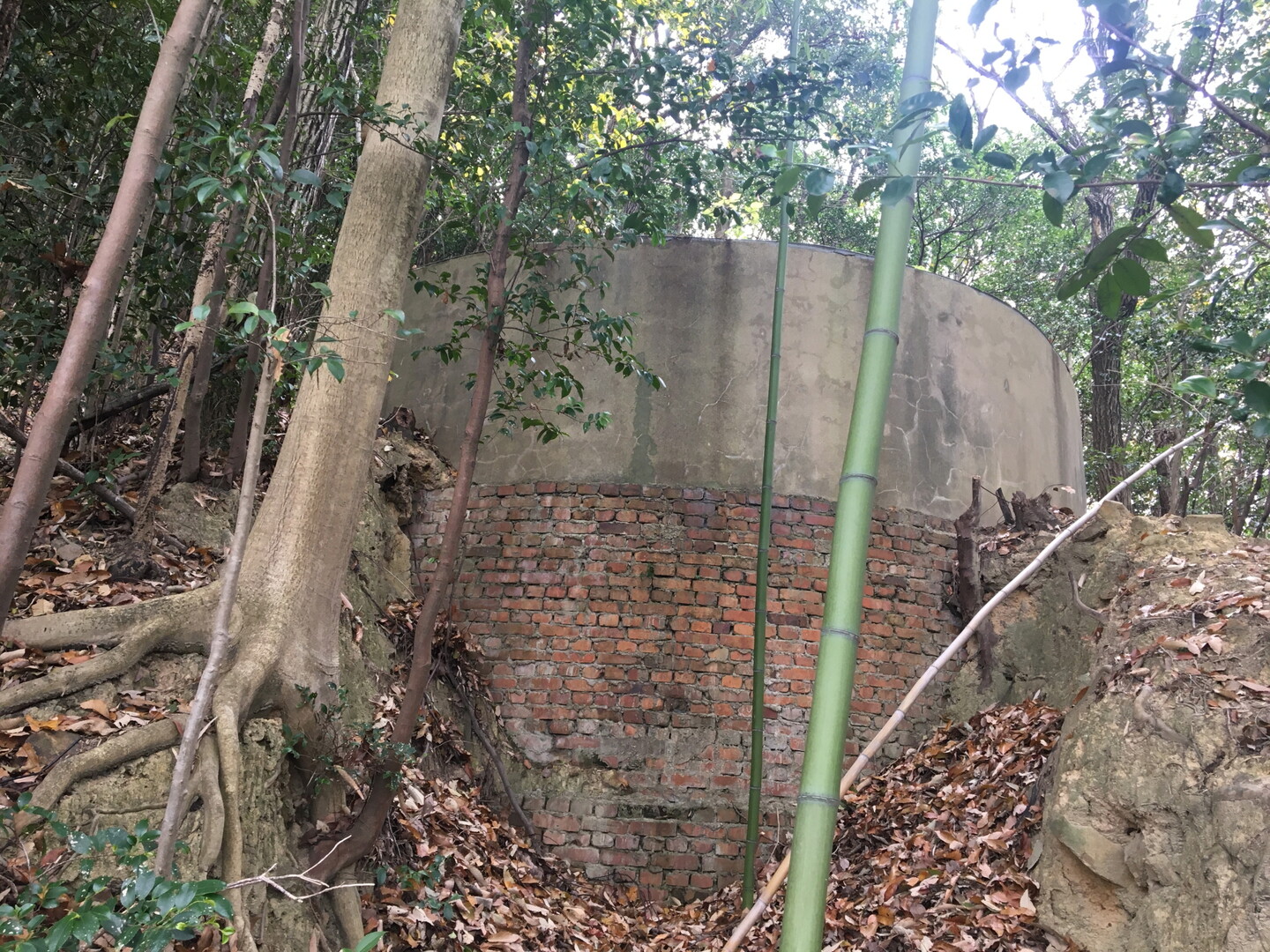 やっと見つけた黒山城跡 防空監視哨 聴音壕 倉敷エリア 19 11 24 Syn3さんの倉敷市 倉敷エリア の活動データ Yamap ヤマップ