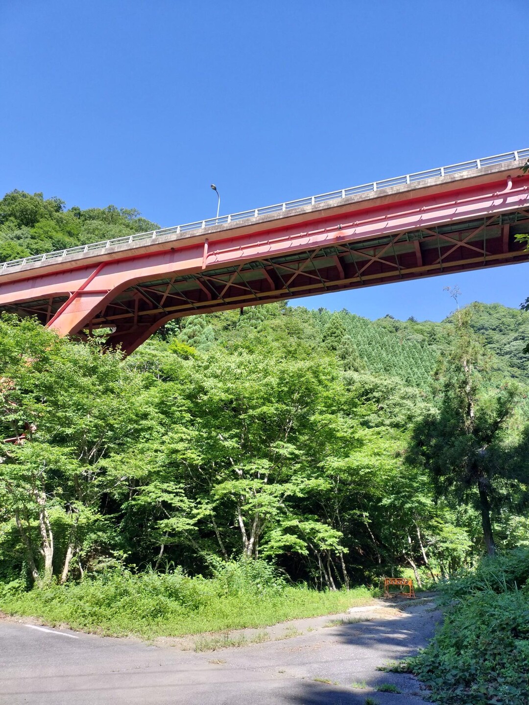 西前の谷-2023-07-17 / inojunさんの小津権現山・花房山の活動日記 | YAMAP / ヤマップ