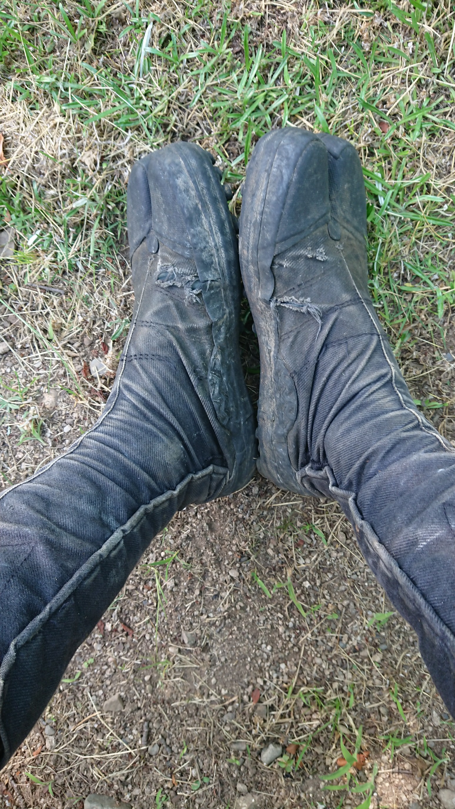 日本平山・鍋倉山 良く働いてくれました
穴が空いちゃいました