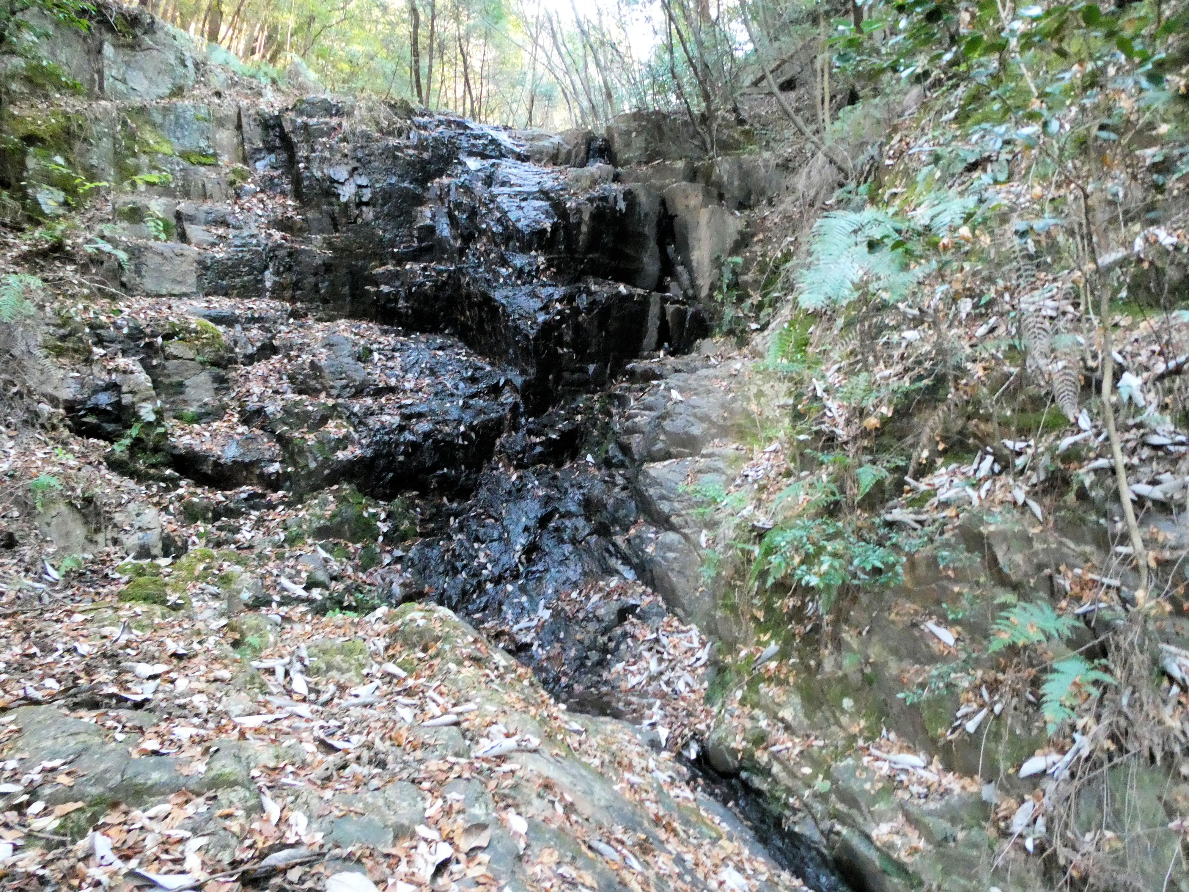 弥勒山 / 里山案内人さんの春日井三山・弥勒山・大谷山・道樹山の活動データ YAMAP / ヤマップ