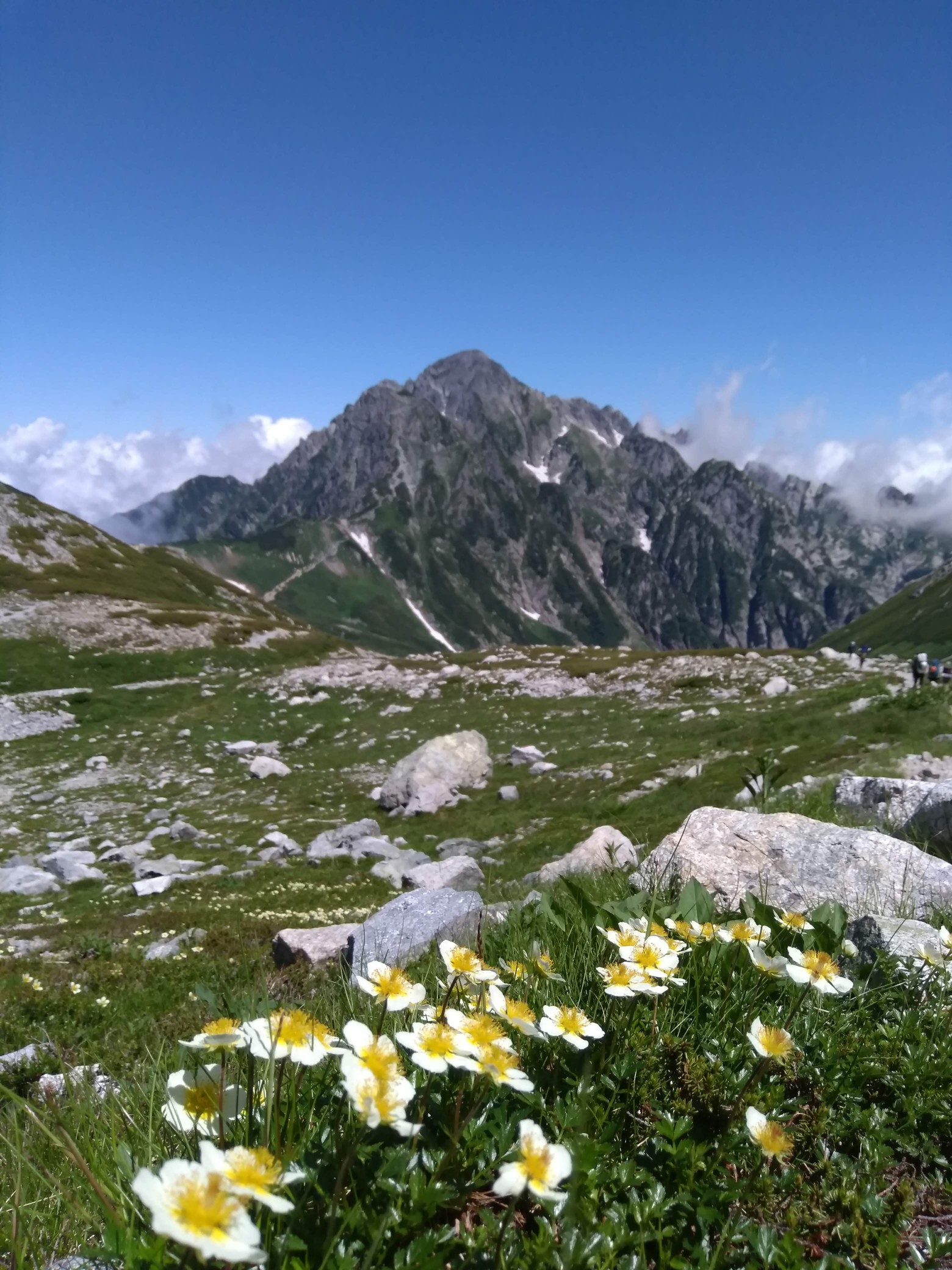 ニセイカウシュッペ山（北海道・1883m）| 登山ルート・天気 | YAMAP