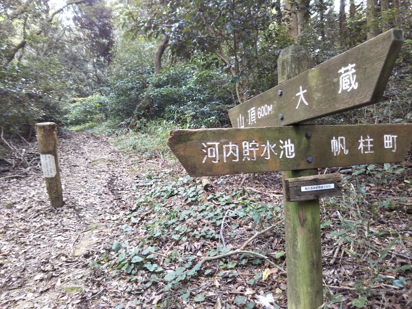 大蔵登山口より皿倉山 1103 ホーマンさんの皿倉山 花尾山 帆柱山の活動データ Yamap ヤマップ