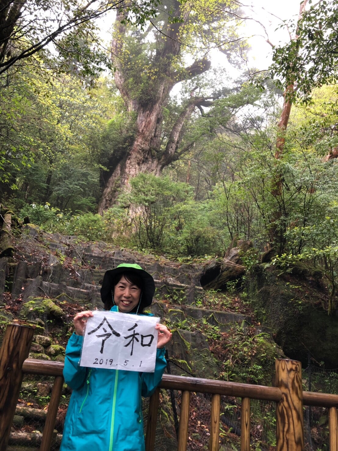 屋久島での 令和 縄文杉 ぴよぴよさんの屋久島 宮之浦岳の活動データ Yamap ヤマップ