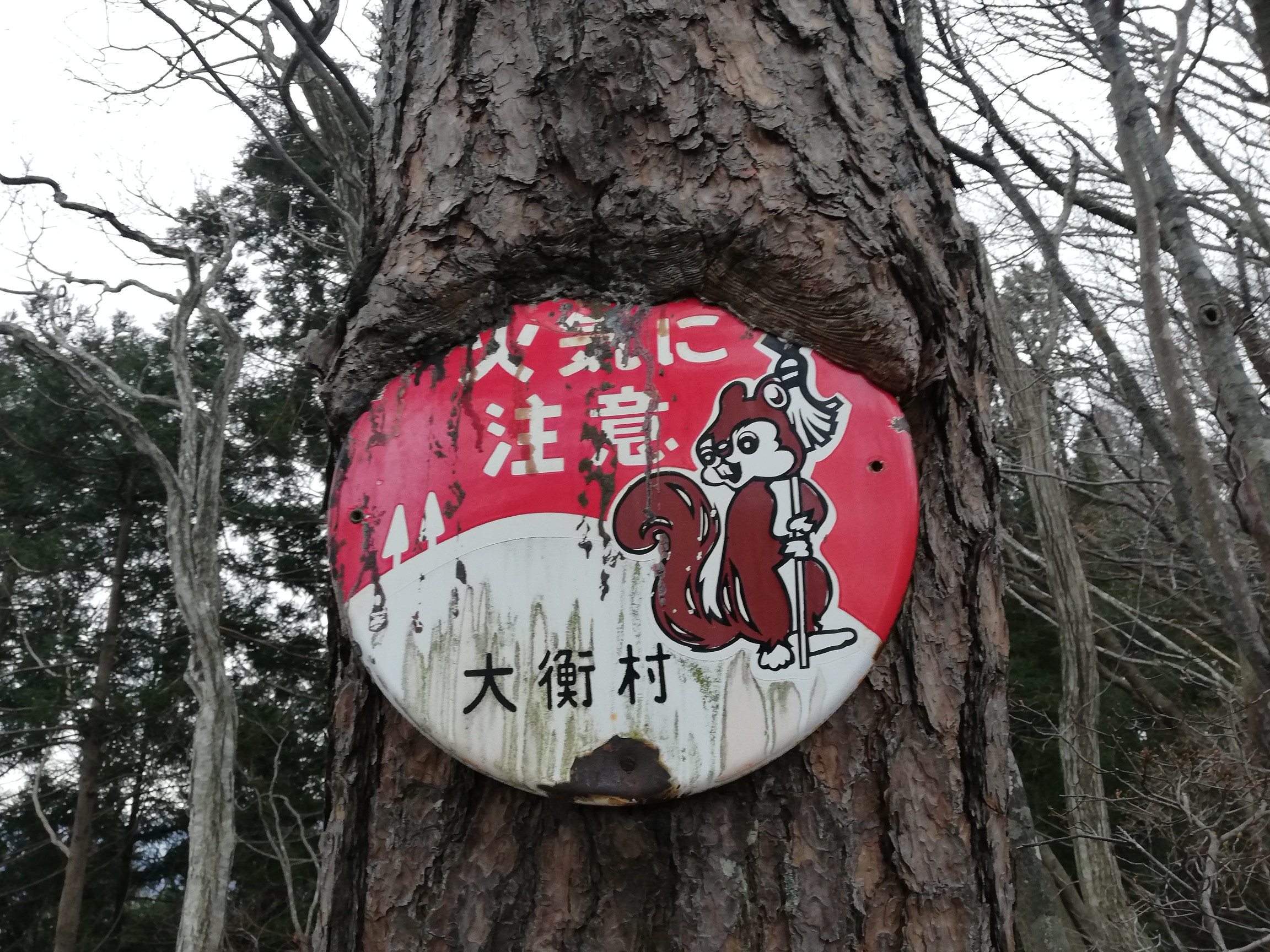 達居森 噂の看板