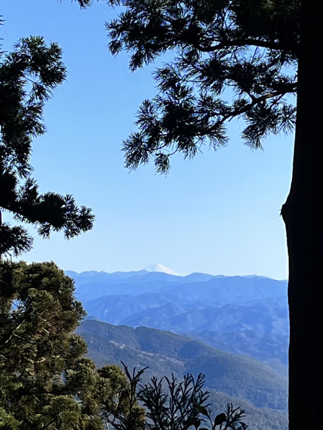 初詣登山 本宮山 / ぐっさんさんの本宮山・大日山・風頭山の活動データ YAMAP / ヤマップ
