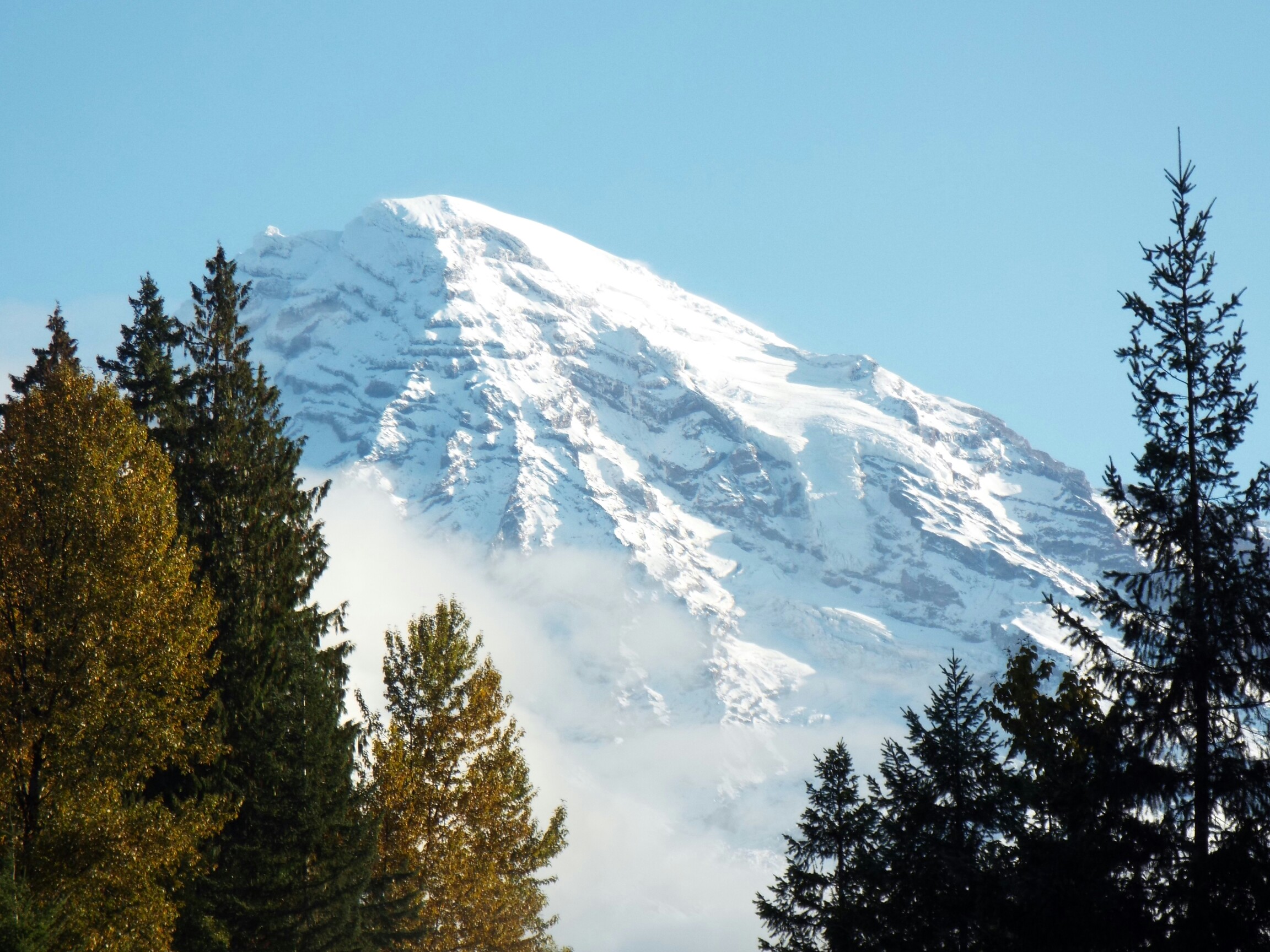 マウントレーニア国立公園 19 09 19 ひとみんさんのマウントレーニア国立公園の活動日記 Yamap ヤマップ