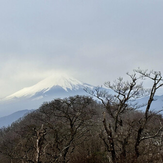 大室山・畦ヶ丸・菰釣山 アップで
