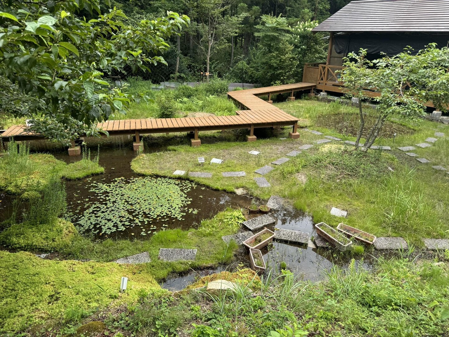 東ヶ谷山・山門水源の森 / Matsuさんの東ヶ谷山・山門水源の森の活動データ | YAMAP / ヤマップ