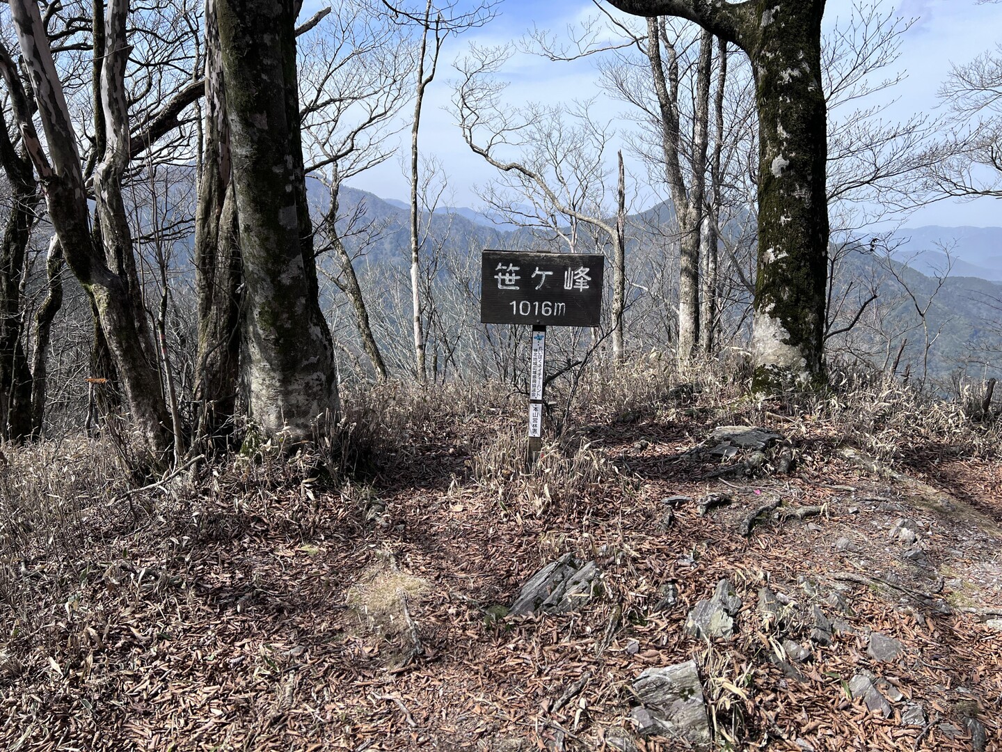 竜馬も歩いた土佐北街道 新宮笹ヶ峰を私も歩いてきた / granpaさんの笹ヶ峰・三傍示山・カガマシ山の活動データ YAMAP / ヤマップ
