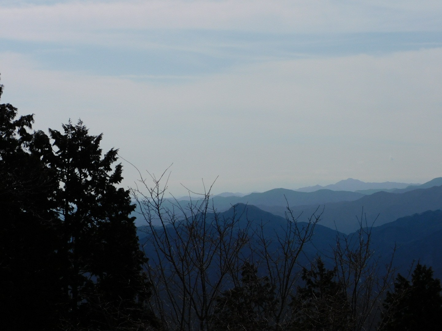 丸山 で登山 野鳥撮影 埼玉県 03 01 G Dragonさんの丸山の活動データ Yamap ヤマップ