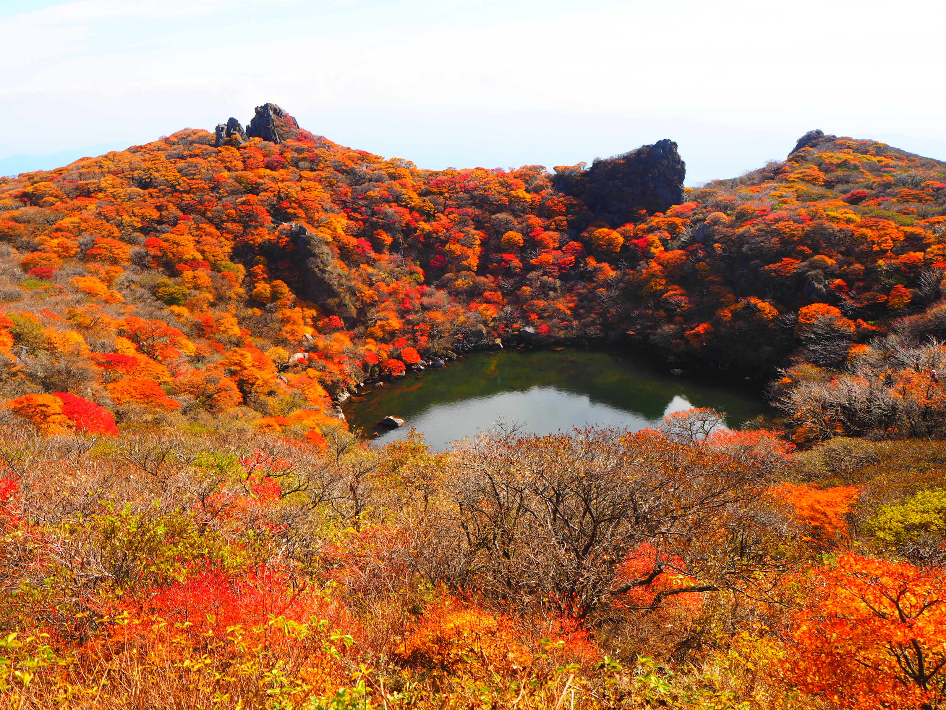 大船山の紅葉を堪能 19 10 27 テラちゃんさんの九重山 久住山 大船山 星生山の活動データ Yamap ヤマップ