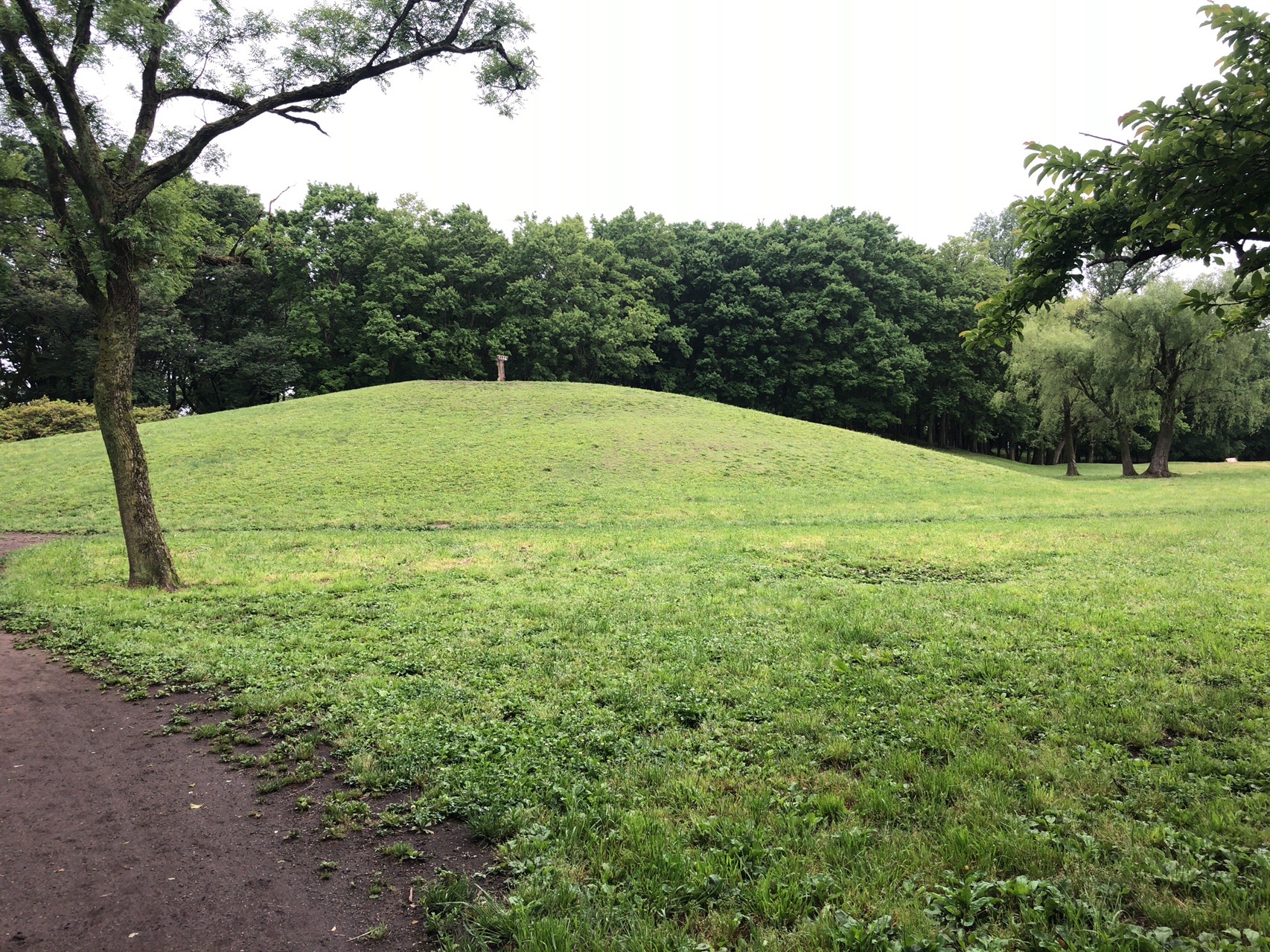 標高50m級⛰東京まちなか超低山🏃u200d♀️ / めっちょさんの甲州街道（上高井戸宿～府中宿）の活動データ | YAMAP / ヤマップ