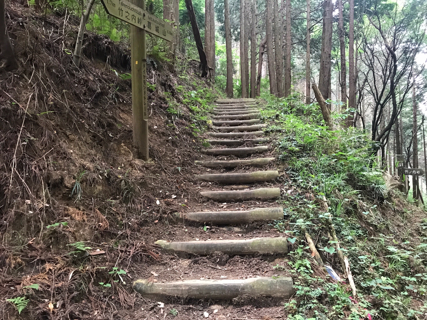 ダイヤモンドトレイル その1 二上山駅から屯鶴峯 水越峠 06 06 ちゃーあらさんの金剛山 二上山 大和葛城山の活動日記 Yamap ヤマップ