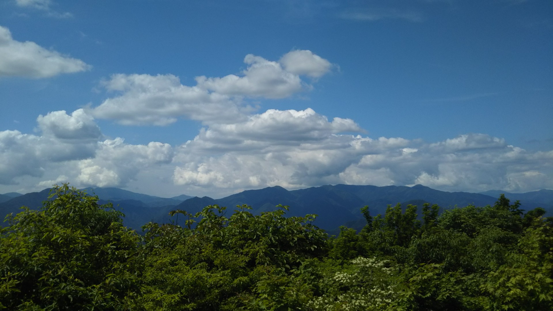 羅漢山 / 筆さんの羅漢山(広島県廿日市市・山口県岩国市)の活動データ YAMAP / ヤマップ